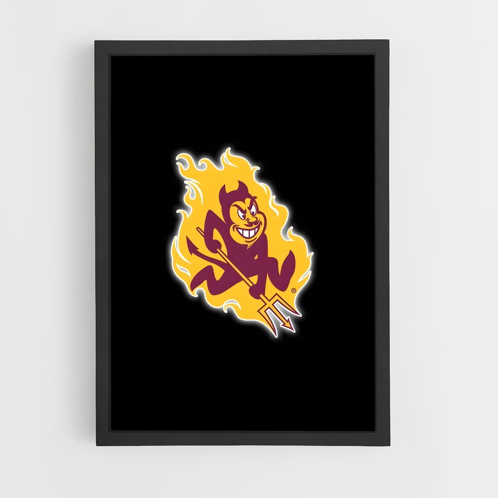 Poster Minnesota Spirit – affiche Baseball (vue 2)